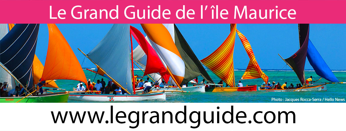 Le Grand Guide de l' île Maurice